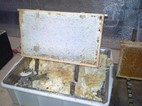 Honing productie - imkerij Cox