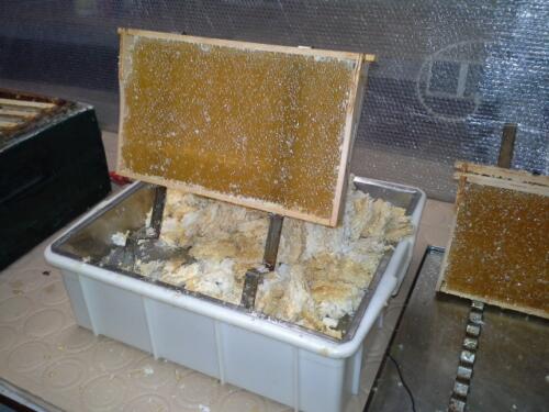 Honing productie - imkerij Cox